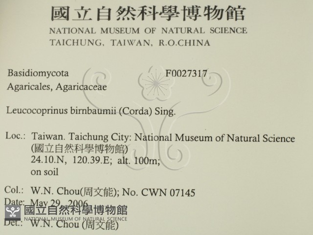 登錄號:F0027317藏品圖，第2張