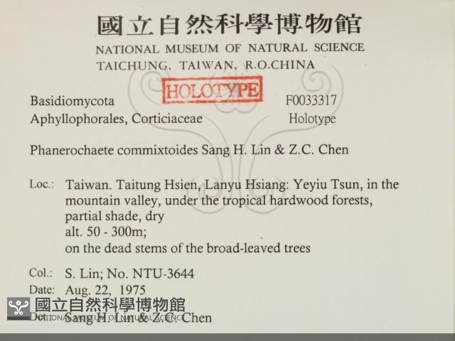 登錄號:F0033317藏品圖，第2張