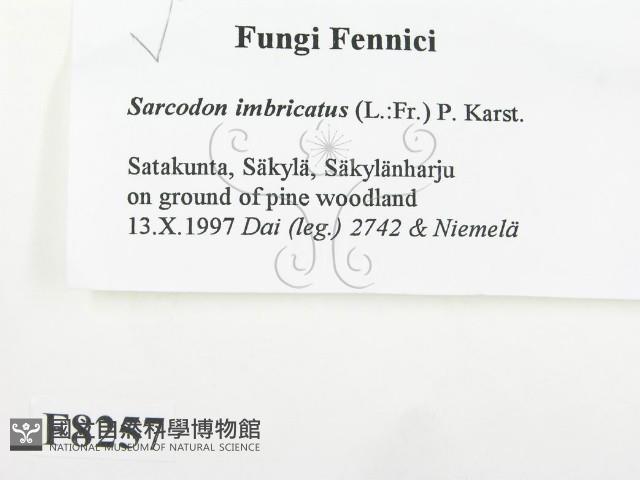 登錄號:F0008257藏品圖，第2張