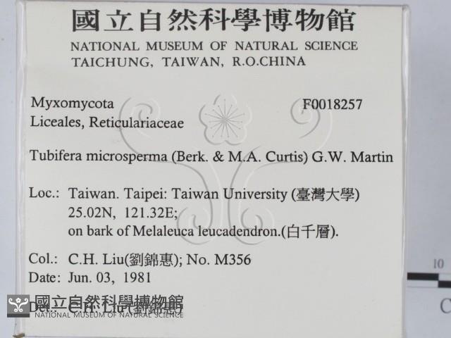 登錄號:F0018257藏品圖，第2張