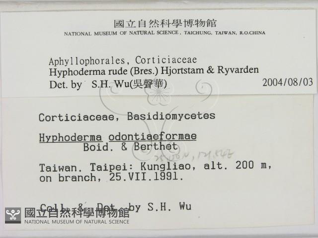 登錄號:F0000257藏品圖，第2張
