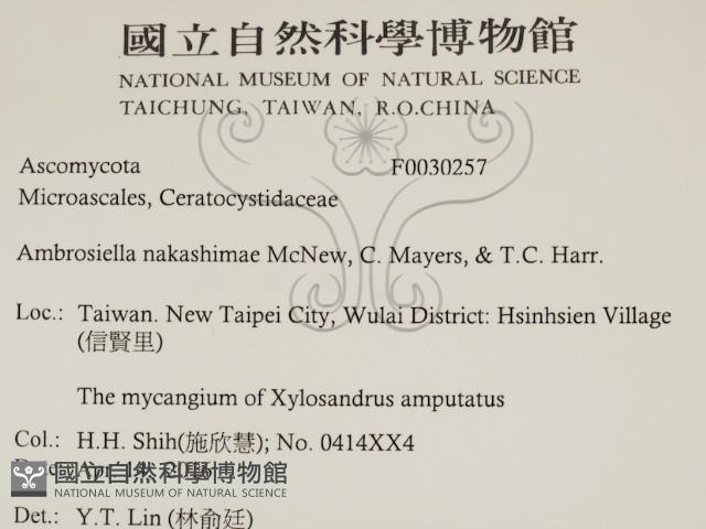 登錄號:F0030257藏品圖，第2張