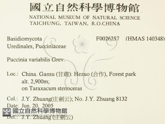 登錄號:F0026257藏品圖，第2張