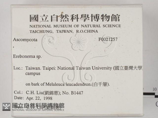 登錄號:F0021257藏品圖，第2張