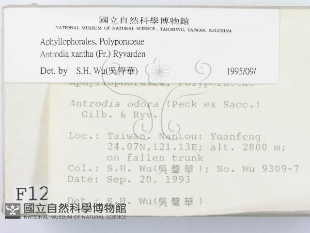 登錄號:F0001257藏品圖，第2張