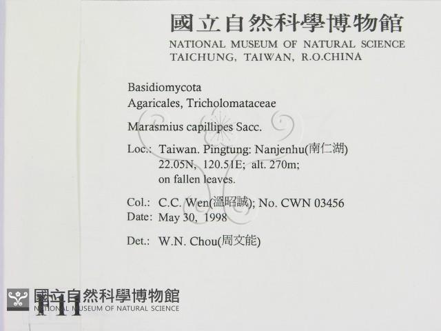 登錄號:F0011257藏品圖，第2張