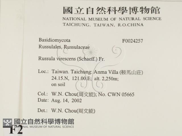 登錄號:F0024257藏品圖，第2張