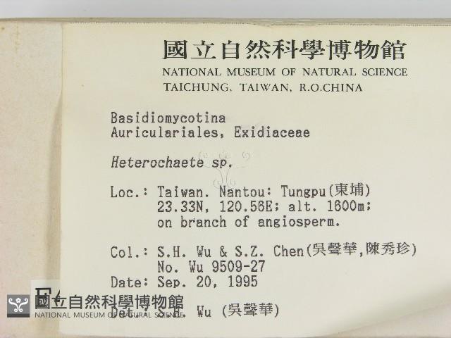 刺皮菌屬藏品圖，第2張