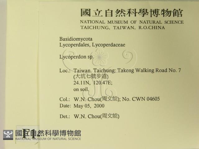 登錄號:F0014257藏品圖，第2張