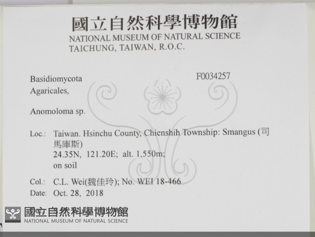 登錄號:F0034257藏品圖，第2張