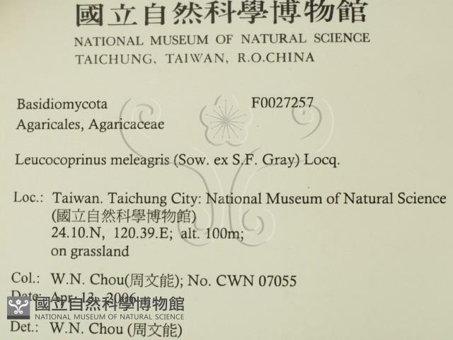 登錄號:F0027257藏品圖，第2張