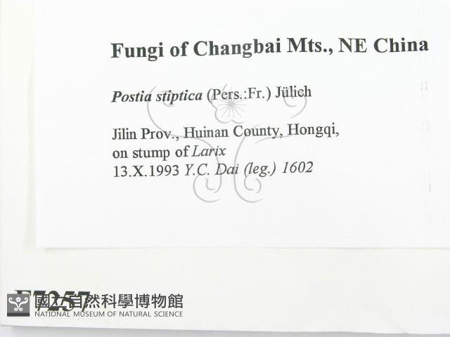 登錄號:F0007257藏品圖，第2張