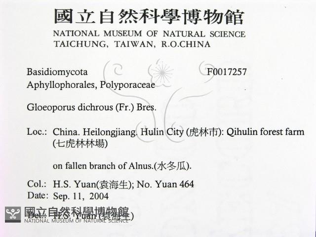 登錄號:F0017257藏品圖，第2張