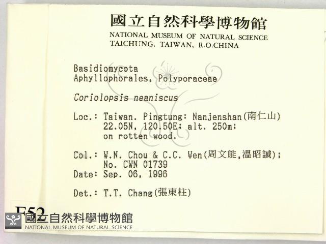 登錄號:F0005257藏品圖，第2張