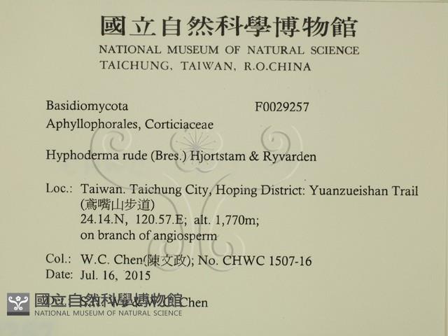 登錄號:F0029257藏品圖，第2張