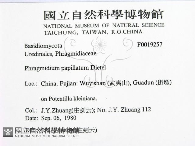 登錄號:F0019257藏品圖，第2張