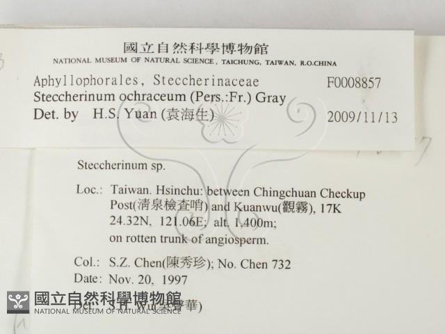 登錄號:F0008857藏品圖，第2張