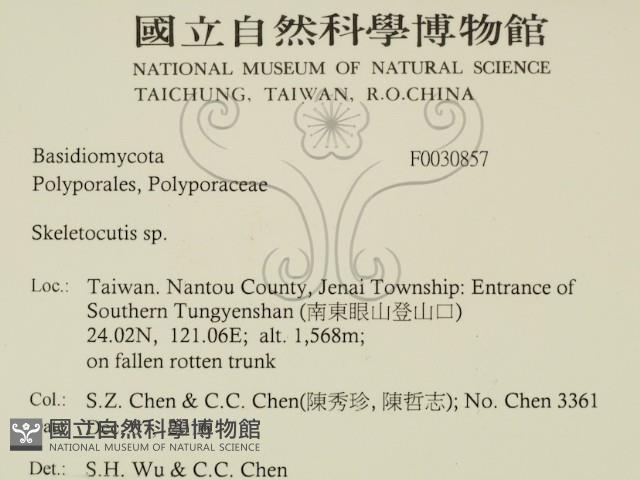 骨皮菌屬藏品圖，第2張