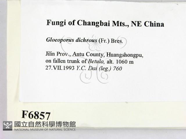 登錄號:F0006857藏品圖，第2張