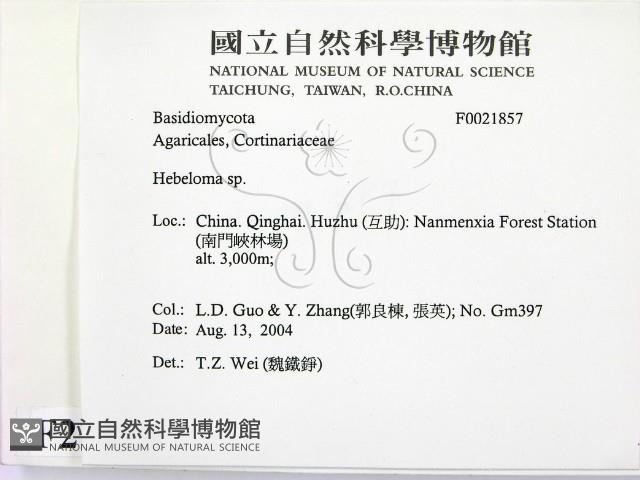登錄號:F0021857藏品圖，第2張