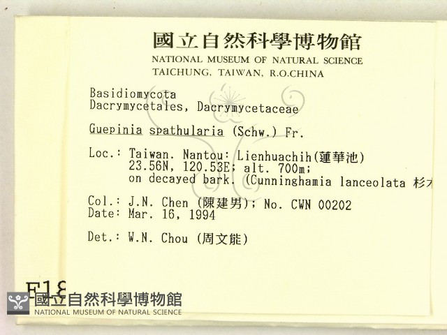 登錄號:F0001857藏品圖，第2張