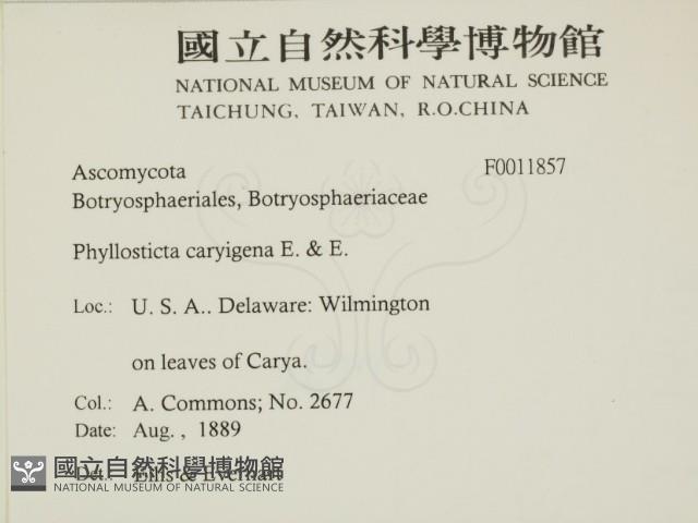 登錄號:F0011857藏品圖，第2張