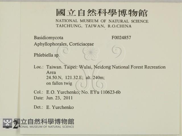 登錄號:F0024857藏品圖，第2張