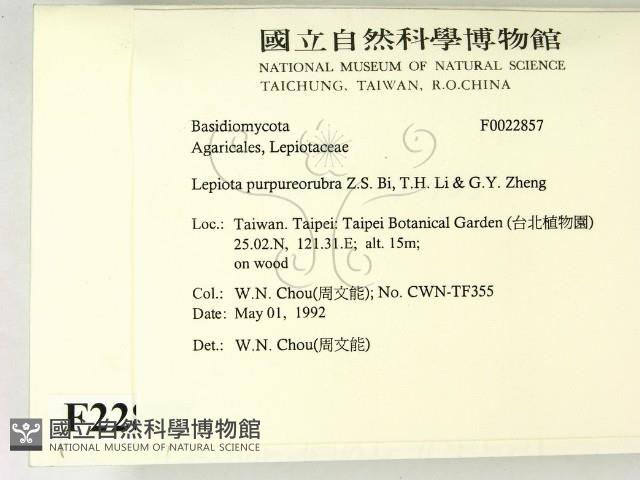 登錄號:F0022857藏品圖，第2張