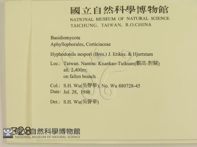 登錄號:F0002857藏品圖，第2張