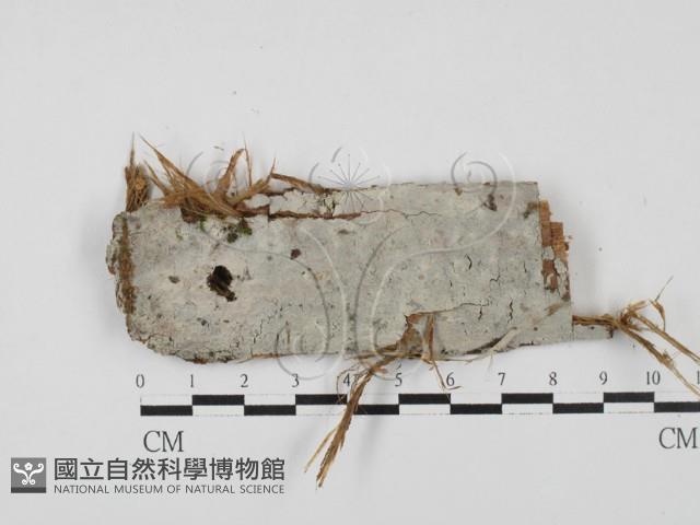 登錄號:F0027857藏品圖，第1張