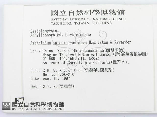 登錄號:F0007857藏品圖，第2張