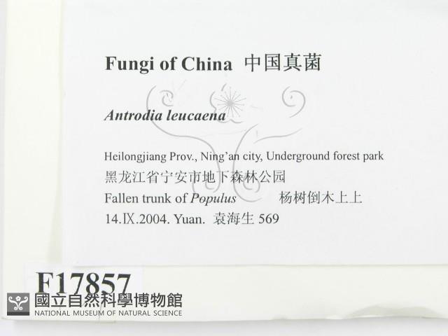 登錄號:F0017857藏品圖，第2張