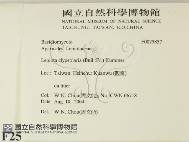 登錄號:F0025857藏品圖，第2張