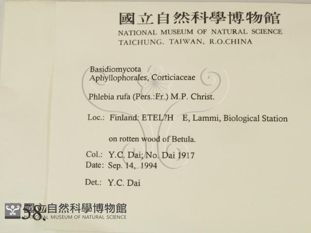 登錄號:F0005857藏品圖，第2張