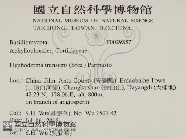 登錄號:F0029857藏品圖，第2張