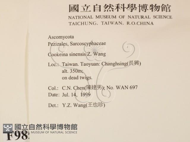 登錄號:F0009857藏品圖，第2張