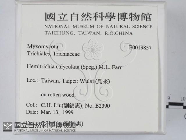 登錄號:F0019857藏品圖，第2張