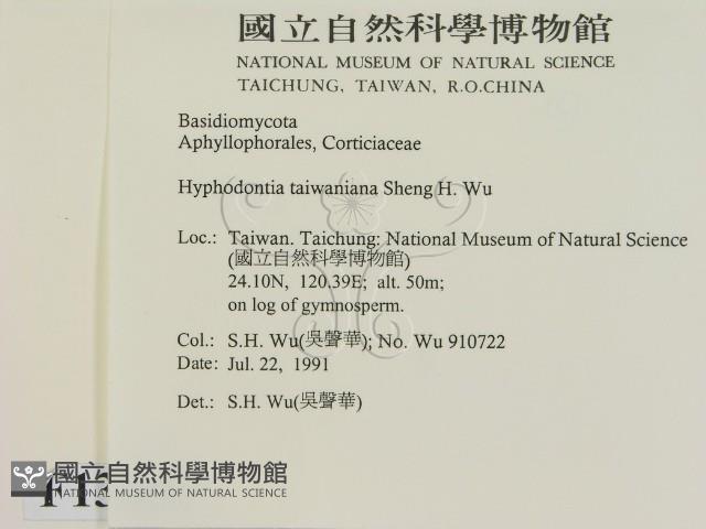 登錄號:F0013857藏品圖，第2張