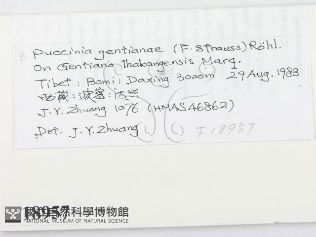 登錄號:F0018957藏品圖，第2張