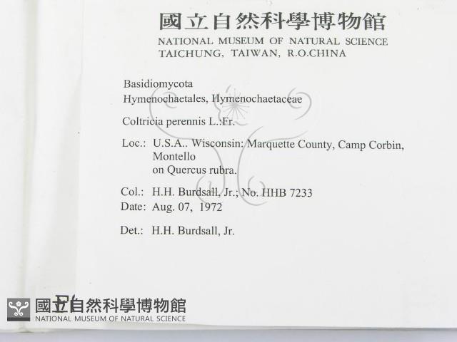 登錄號:F0000957藏品圖，第2張