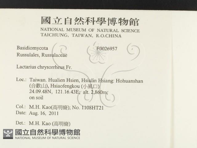 登錄號:F0026957藏品圖，第2張