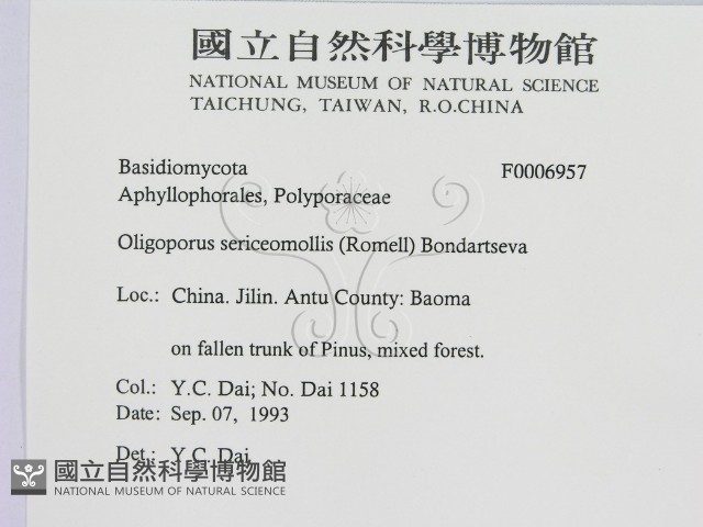 登錄號:F0006957藏品圖，第2張