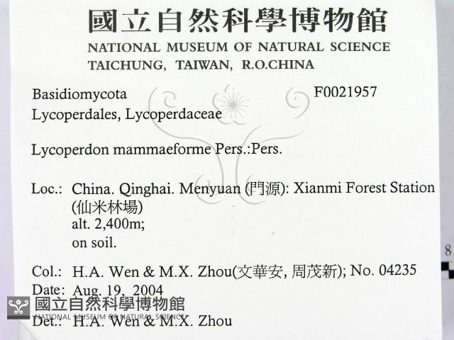 登錄號:F0021957藏品圖，第2張