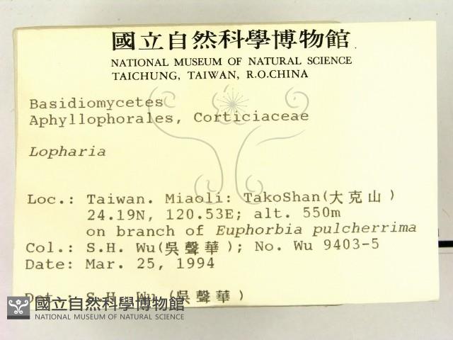 登錄號:F0001957藏品圖，第2張