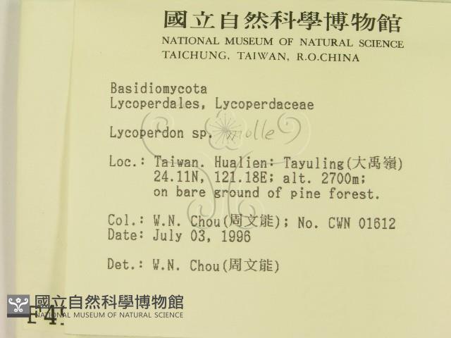 登錄號:F0004957藏品圖，第2張
