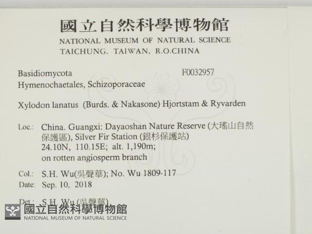 登錄號:F0032957藏品圖，第2張