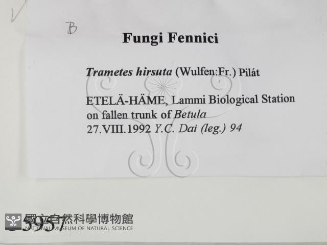 登錄號:F0005957藏品圖，第2張