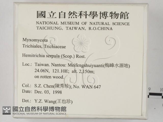 登錄號:F0009957藏品圖，第2張