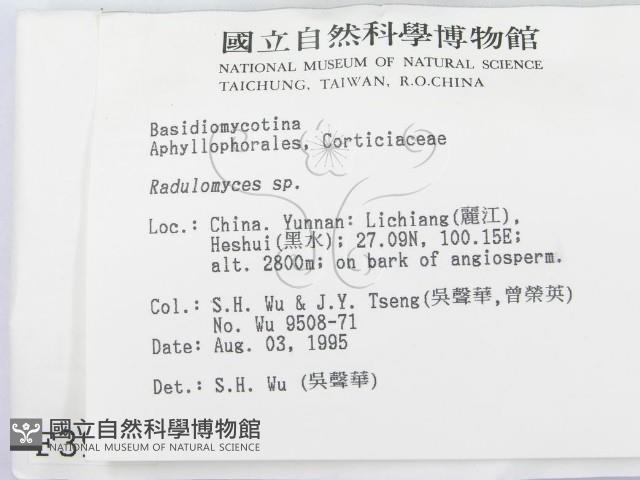 登錄號:F0003957藏品圖，第2張