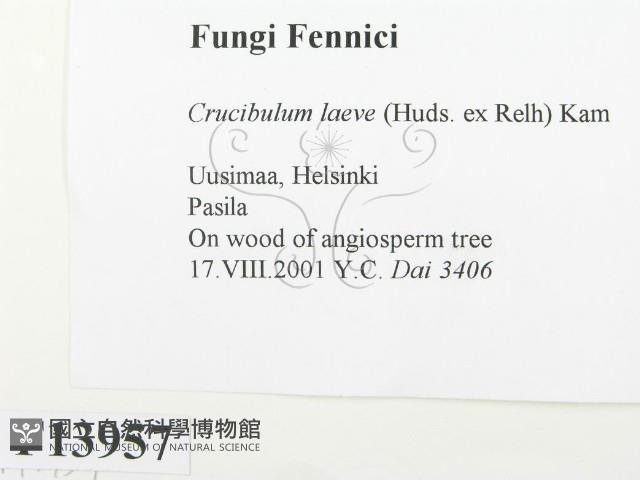 登錄號:F0013957藏品圖，第2張